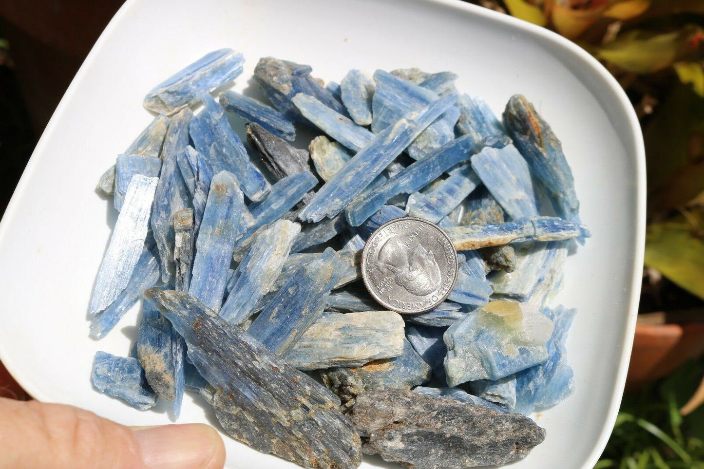 1/2 lb Natural Blue Kyanite Blades Pieces Crystals