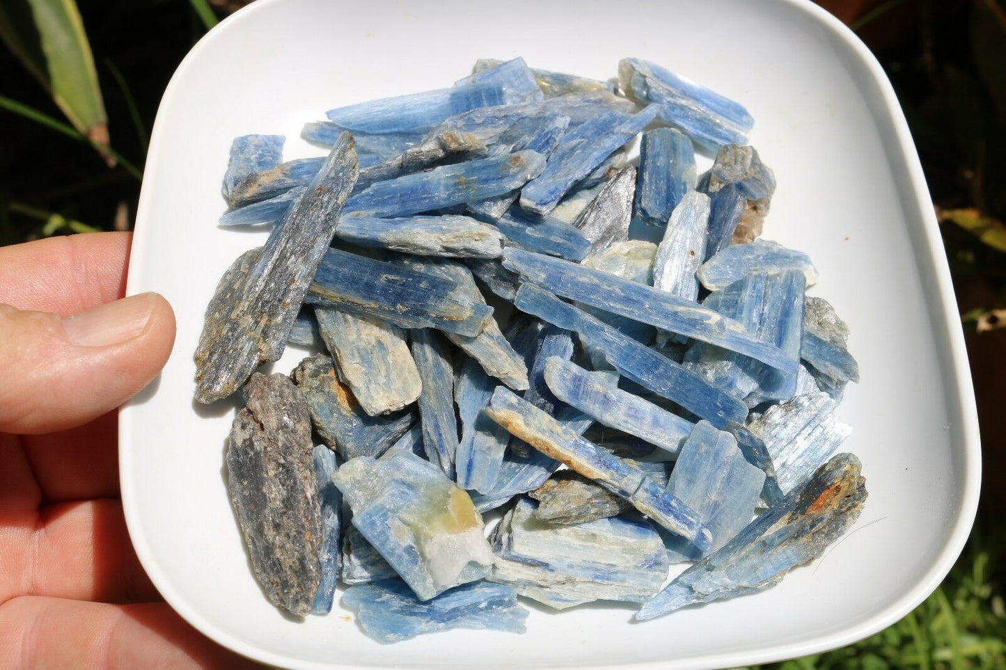 1/2 lb Natural Blue Kyanite Blades Pieces Crystals